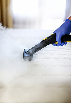 Steam cleaning a mattress to remove dust mites.